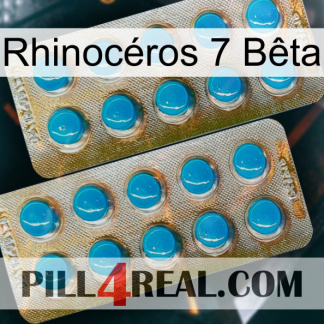 Rhinocéros 7 Bêta new08